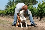 ADULTE ET CHIEN 328